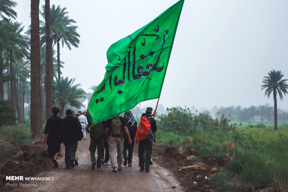 کارنامه موکب مسجد مقدس جمکران در اربعین؛ روزانه ۵۰ هزار پرس غذا توزیع شد